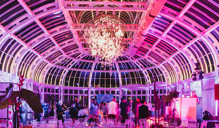 An evening event is held at The Palm House at Brooklyn Botanic Garden